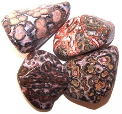 L Tumble Stones - Leopard Skin 1