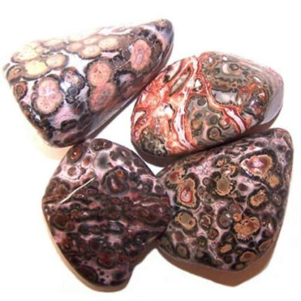 L Tumble Stones - Leopard Skin 2