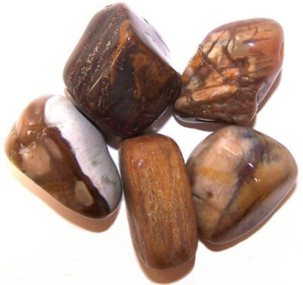 L Tumble Stones - Madera Petrificada 1