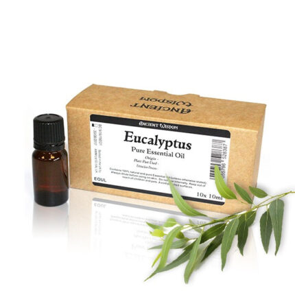 10ml Aceite esencial sin etiqueta eucalipto 1