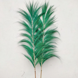 Palmera Verde de Rayung - 1.6m 1