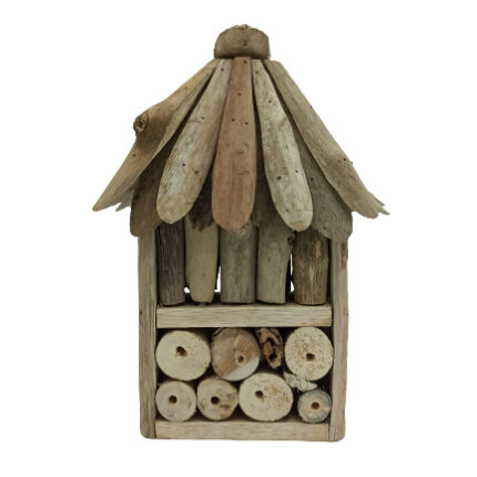 Driftwood Bee & Insect Double Box 1