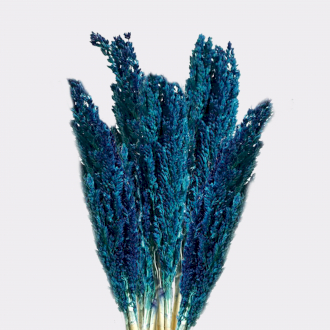 Manojo de Hierba Cantal x 6 - Azul 1